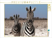 Calvendo Puzzle ZebrapäRchen Bei Rietfontein, Etosha | 1000 Teile Lege-GrößE 64