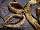 Fur pieces from vintage coat GORGEOUS soft PERFECT — photo 2