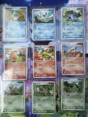 Pokémon 3rd Gen Starter Sammlung 1st Edition 
