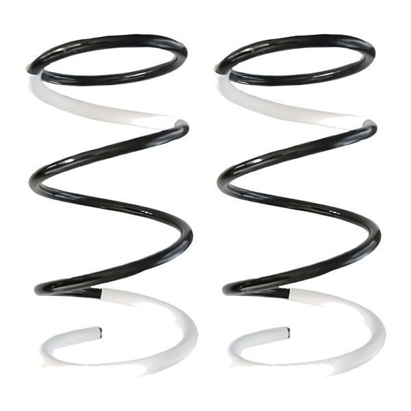 Fahrwerksfedern-Set Vorne Schraubenfeder Ø171Mm Spidan FüR U.A. Honda Civic-image