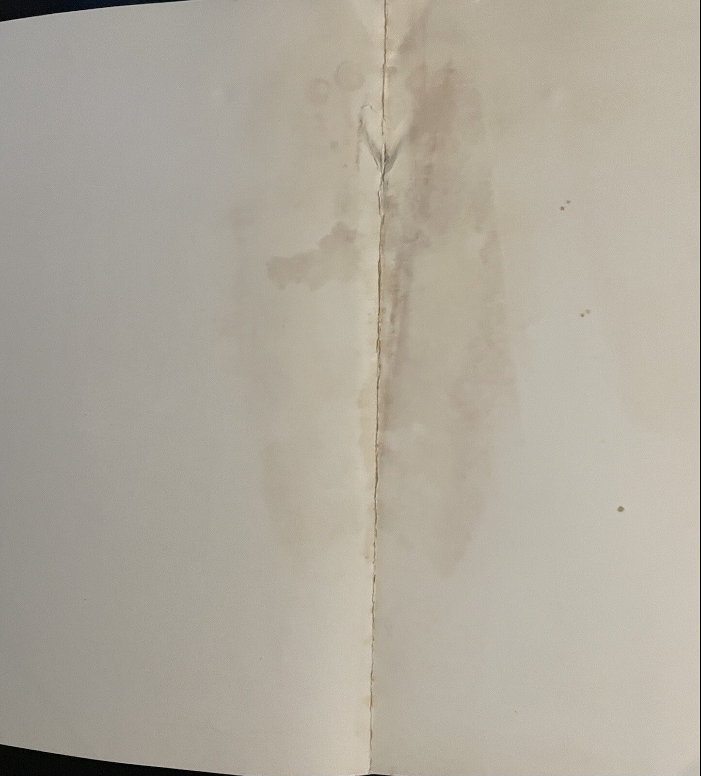 Foto 2 di 3