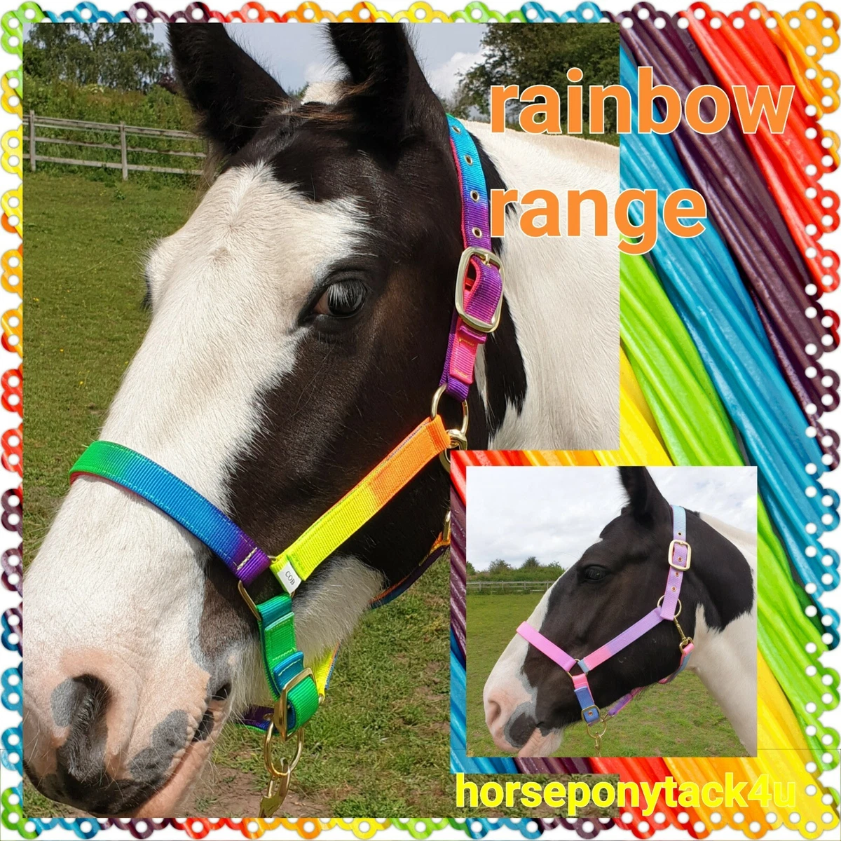 Rainbow headcollar sales