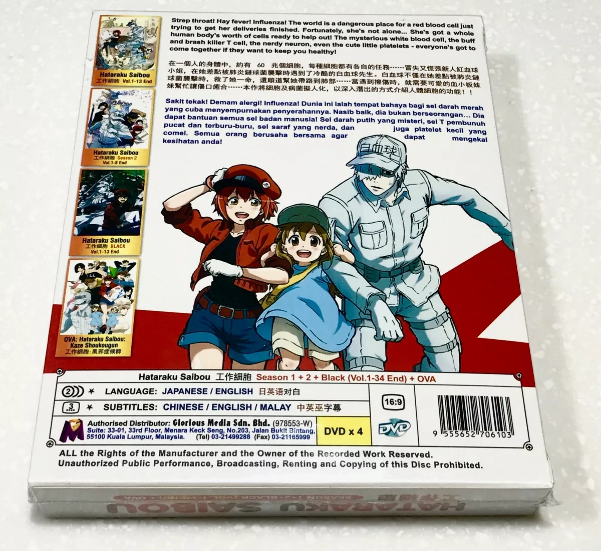 DVD Anime Hataraku Saibou /Cells at Work Complete Series (1-13) English  Subtitle