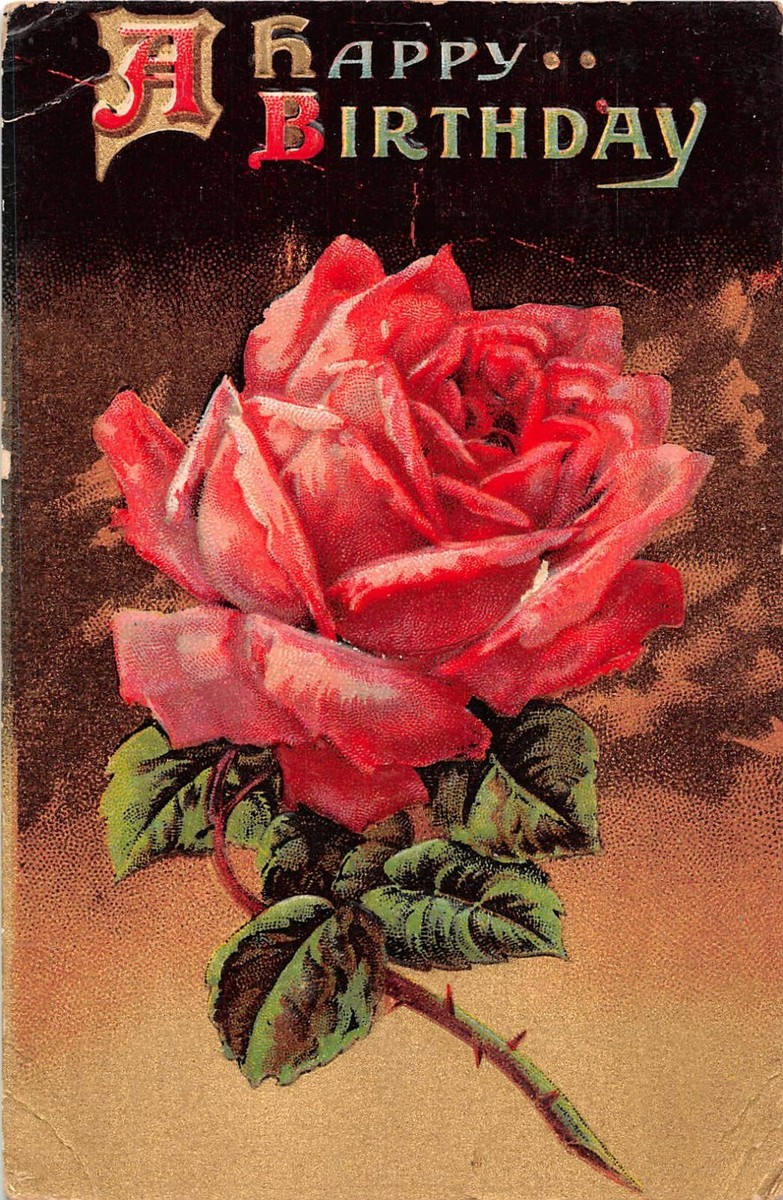 Gorgeous Big Pink Rose on Old Birthday Postcard - No. 604/4 | eBay