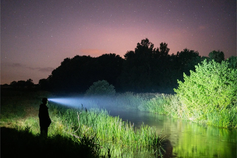 Nash Powerbanx Moonshine Mega Lite Head Tourch T3012 - Imagen 3 de 4