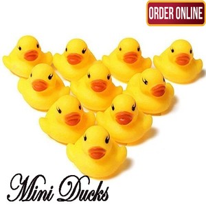 duck whistle toy