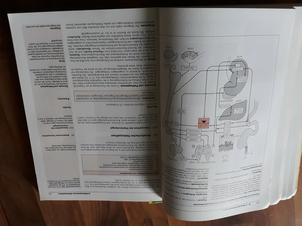 MLP duale reihe Orthopädie Fritz u. Niethhard u. Joachim pfeil der Ana.| Buch |  - Bild 4 von 4