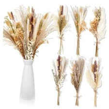 6 Pack Large Size Boho Dried Flower Bouquet 16 Inch Rustic Dried Floral