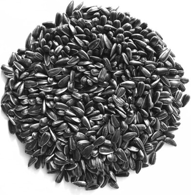Black Oil Sunflower Seeds Bird Feed 4LB - PREMIUM QUALITY