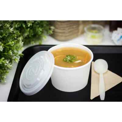 Karat Earth 16oz Eco-Friendly Paper Food Containers - White (114.6mm), KE-KDP16W