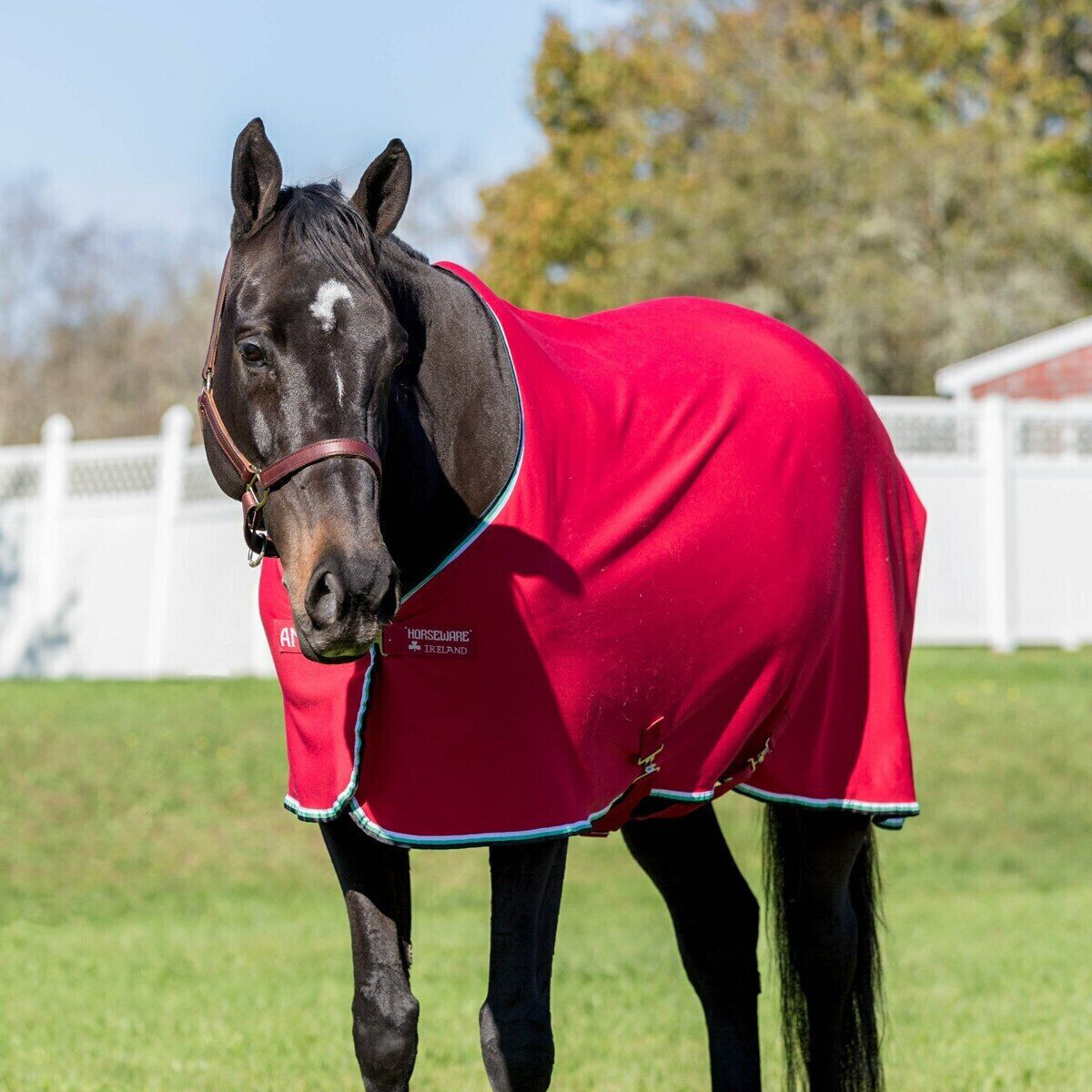 Horseware Cooler Travel Show Horse Blanket Red and White 78” 6'6