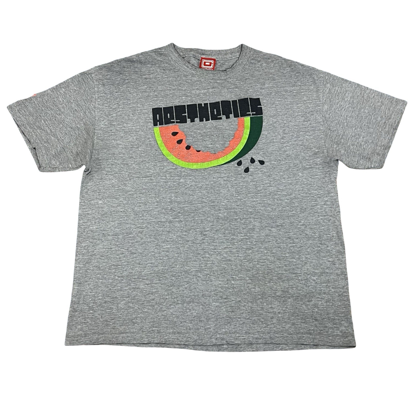 Vtg 90s Aesthetics Skateboard Watermelon Tee Shirt Large Grey Streetwear