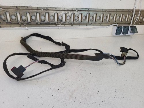 Loading door wiring loom