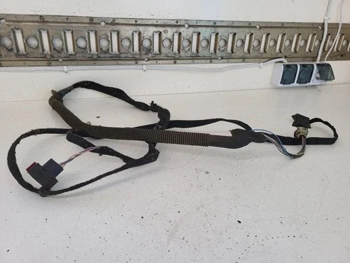 Loading door wiring loom