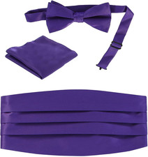 Men's Adjustable Satin and Paisley Cummerbund Set