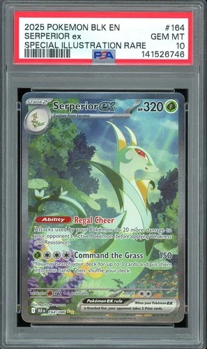 PSA 10 GEM MINT - Serperior ex #164 Special Illustration Rare Black Bolt