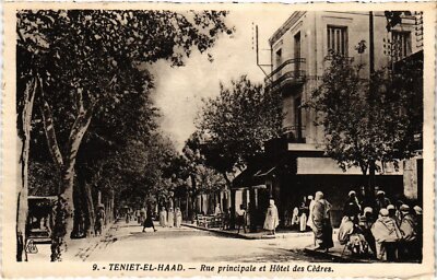 Old postcard AK ALGERIA TENIET-el-HAAD Main Street and Hotel des Cedres (1380665)