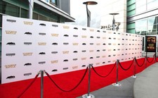 Personalised Step and Repeat Banner Indoor/Outdoor Heavy Duty PVC Vinyl Banner