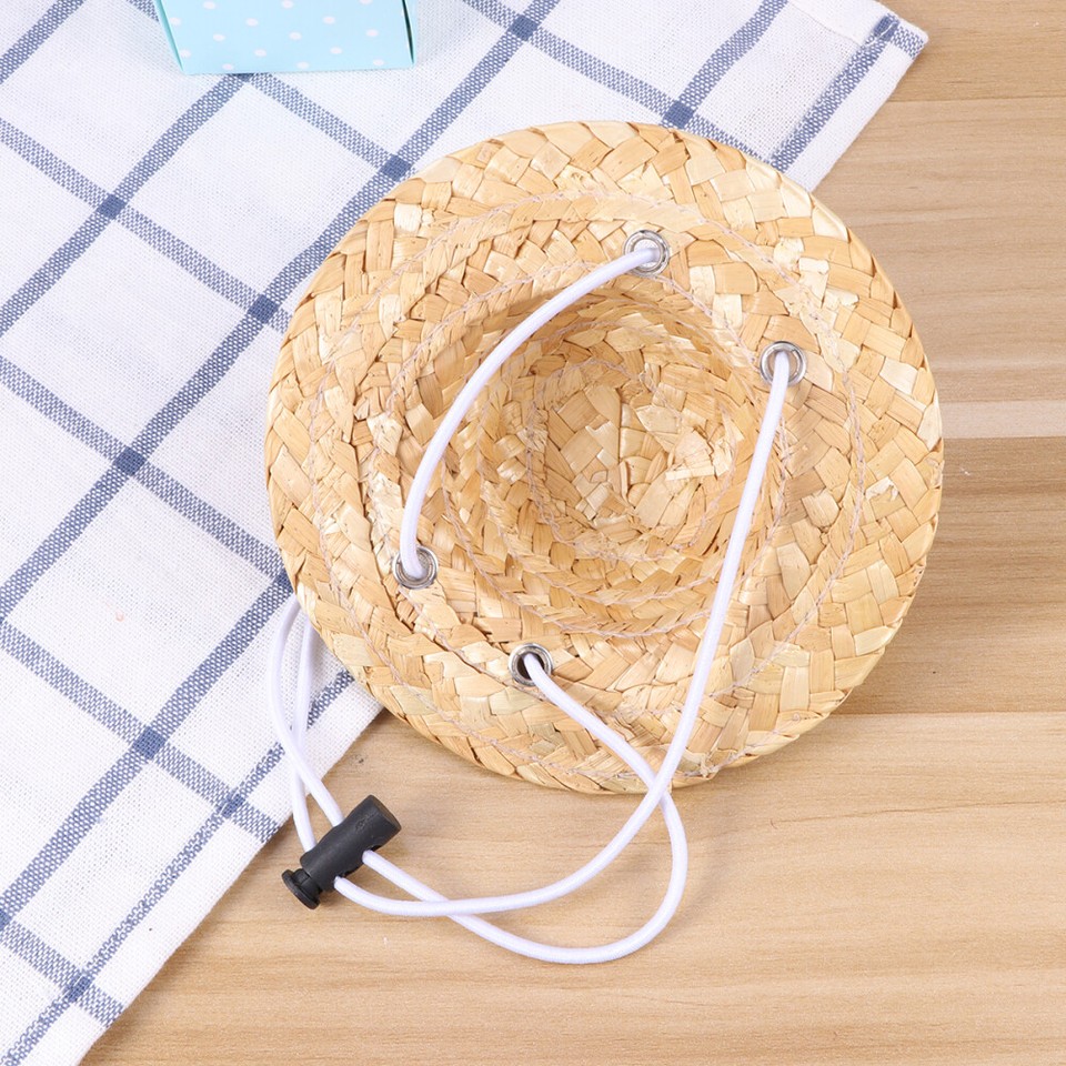 Dog Sombrero Birthday Hat Girl Visors for Small Dogs Accessories The eBay