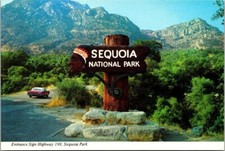 Vtg Sequoia National Park California Indian Entrance Sign on Highway Postcard