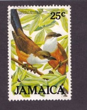 Jamaica        616            used      Birds     