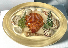 VINTAGE Mid Century Modern SEA SHELLS Acrylic LUCITE SOAP DISH-5.25" L-Ex. cond.