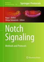 Hugo J. Bellen (U. A.) | Notch Signaling | Buch | Englisch (2014) | Xi | Humana