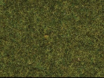 Noch 7117 All Scale Static Wild Grass - 1.8oz 50g; 3/8'' .9cm fibers -- Meadow