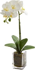 24in Orchid Phalaenopsis Artificial Arrangement in Vase