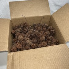 250 Brown Sweetgum Balls Pods Freshly Collected And Dry Free Shipping