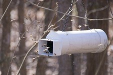 Hanging Bee Pollen Feeder