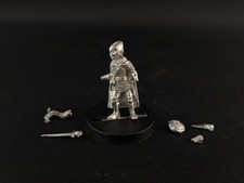 Dark Elf Warrior, customizable - Secret Skeleton Miniatures by 5th Field Fantasy