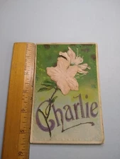 Postcard - Flower Art Print - "Charlie"