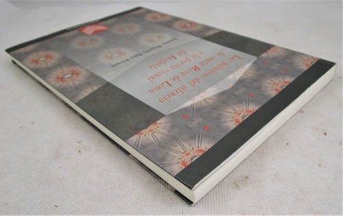 LAS PALABRAS DEL SILENCIO DE SANTA ROSA DE LIMA, E. Rivera 2012 Signed Religion - Picture 7 of 10