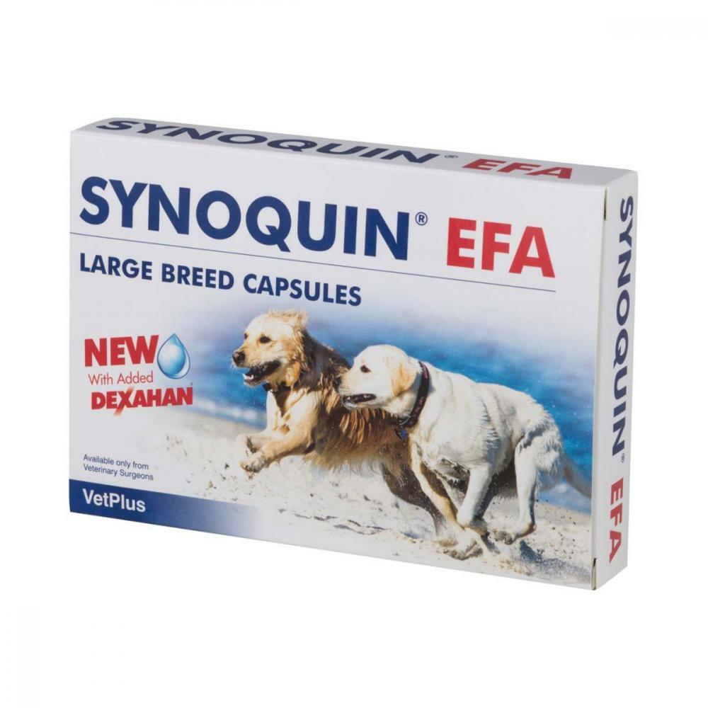 synoquin dog supplement