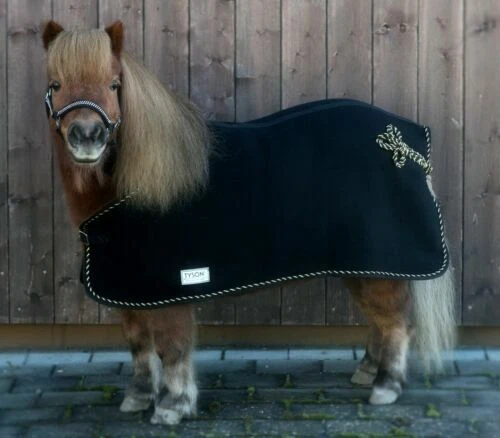 Abschwitzdecken für Shetty