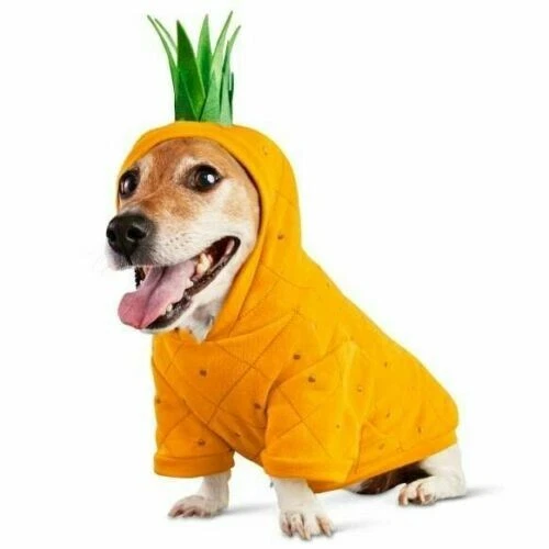 Bootique Dog Hoodie SWEATSHIRT Pineapple Costume OUTFIT HALLOWEEN