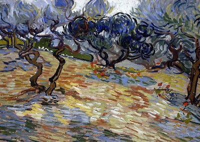 1628 - Olive Trees by Vincent van Gogh - Giclée Fine Art Print