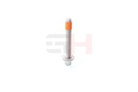 GH Schraube Querlenker GH-391960 FüR Fiat Ducato Bus 100 Multijet 110 115 120 3