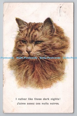 R800530 I Rather Like These Dark Nights Cat Inter Art London Artisticque Series
