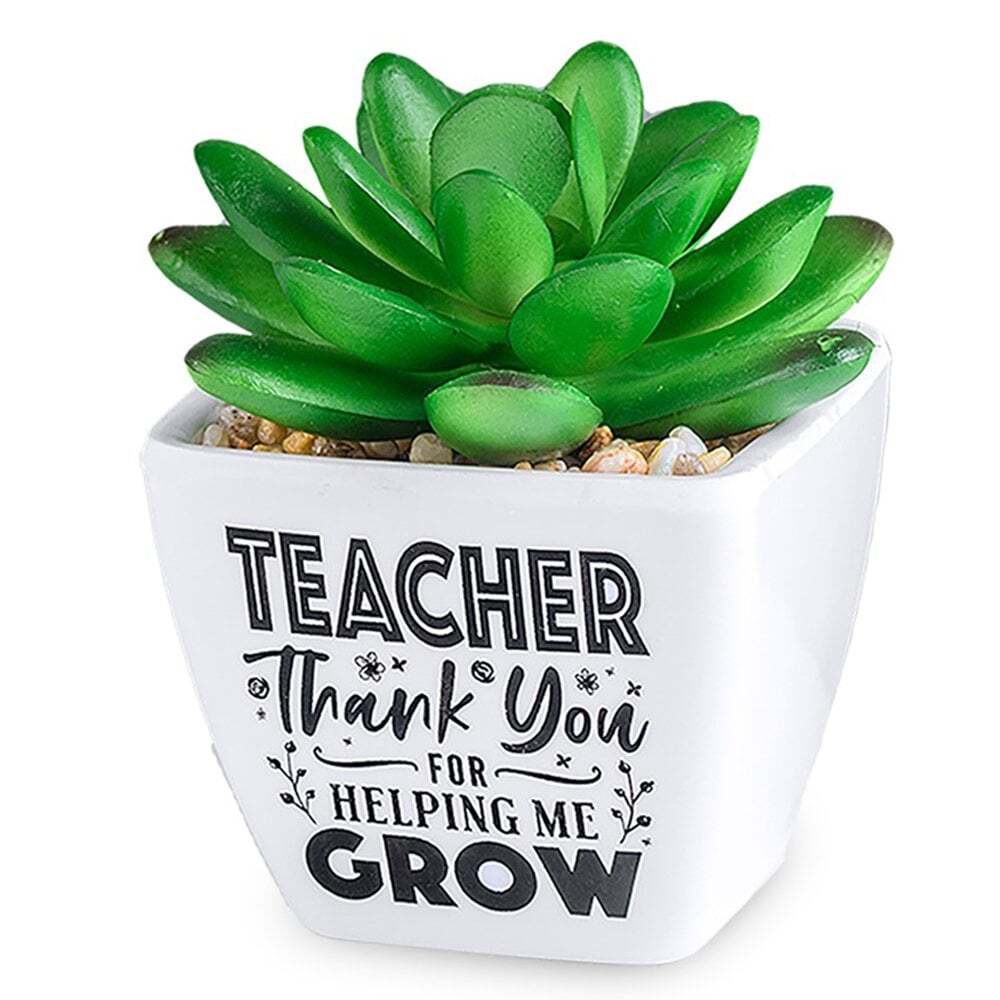 History & Heraldry Sentiment Succulent - Teacher
