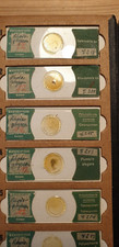 13 antike Objektträger Dauerpräparate Slides - Rhodophyta Rotalgen - Mikroskop