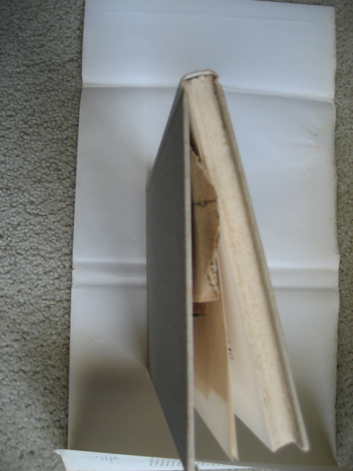 Picture 4 of 12