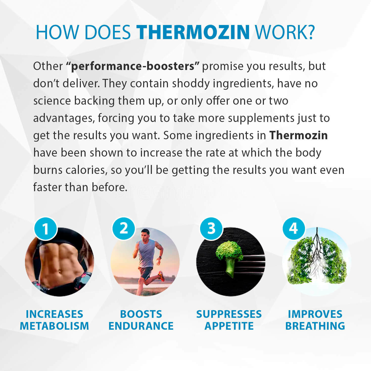Thermozin Thermogenic Formula 5 Bottles 100 Natural Weight loss