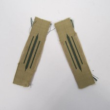 Replica German Mountain Troops Collar Tabs in Bevo TG1463