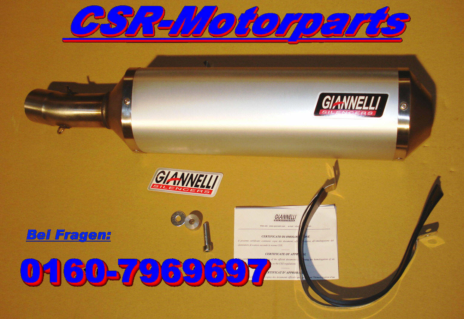 BMW F 800 GS Adventure Auspuff Schalldämpfer muffler Giannelli Arrow