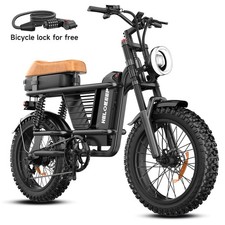 20'' Electric Bike 1500W Peak Fat Tire E-Mountain bike 48V 15Ah for Adults Ebike