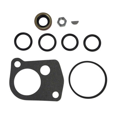 Pesco Hydraulic Pump Gasket, O-Ring and Seal Kit Fits International
