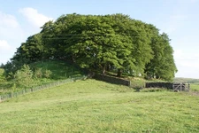Photo A2 Knocknutshell copse Auldgirth A copse, 229m above sea level sur c2010