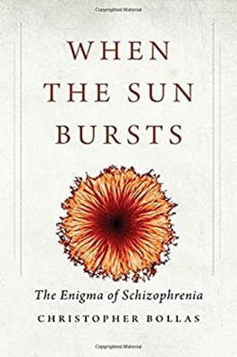 When the Sun Bursts : The Enigma of Schizophrenia Hardcover Chris